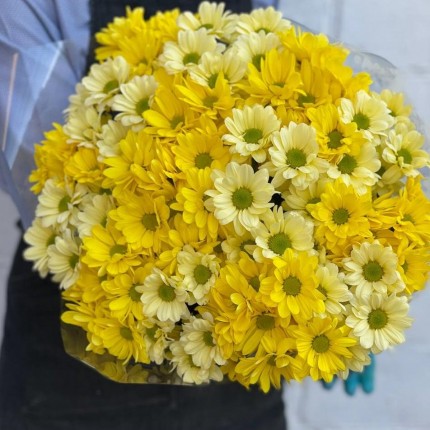 желтая кустовая хризантема - купить с доставкой в по Перевозу